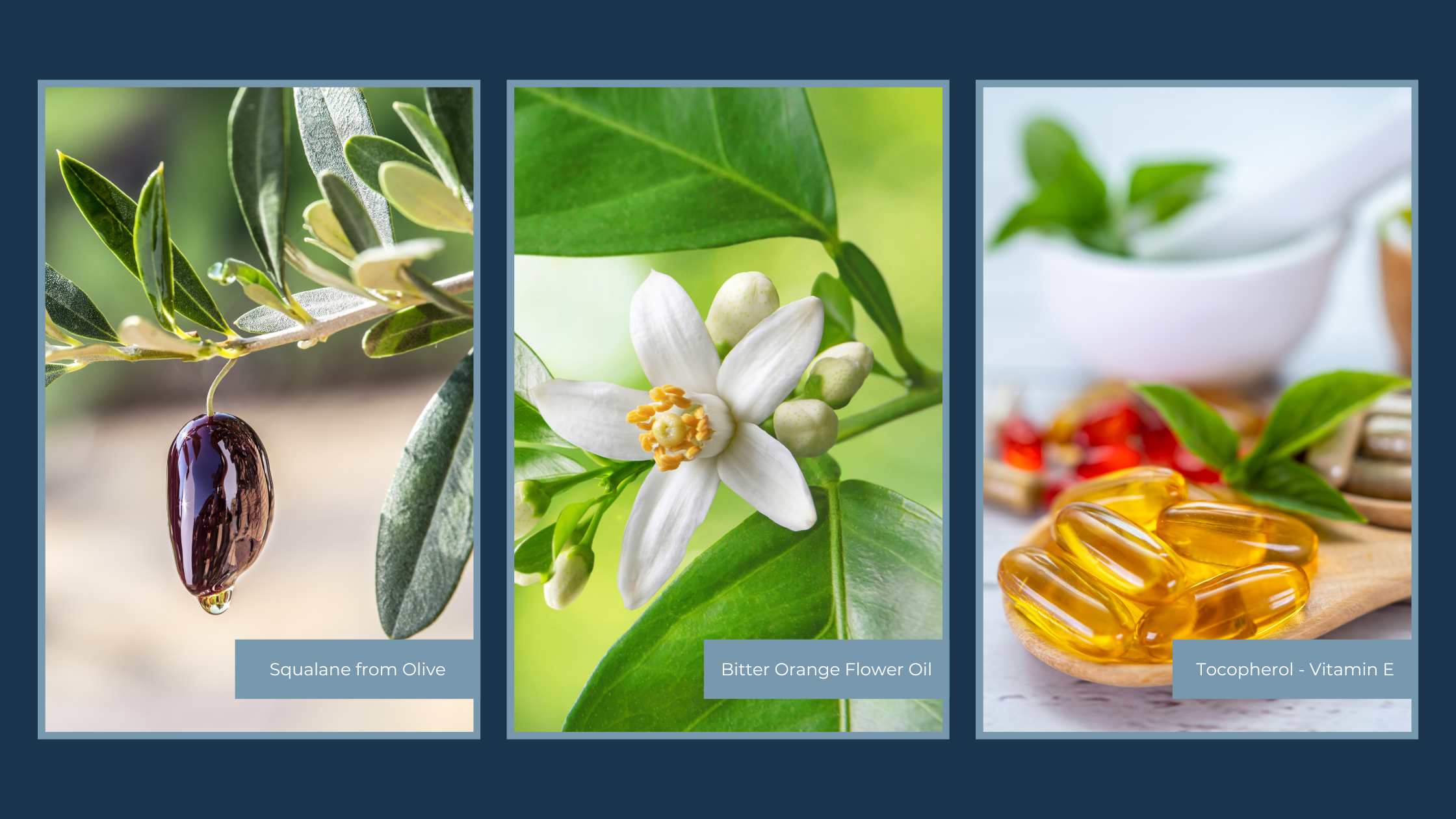 Discover Beverly Hills Rejuvology's REFRESH Serum: Your Ultimate Daytime Luxury